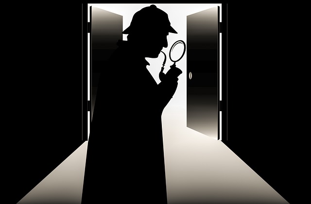 prive detective